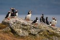 37 IJsland, Vigur eiland